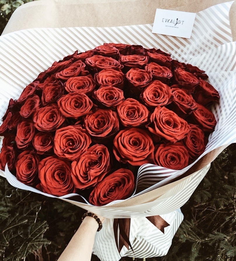 51 РОЗА, RED 51 РОЗА, RED