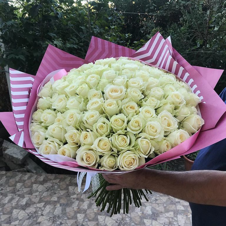 101 РОЗА, WHITE 101 РОЗА, WHITE