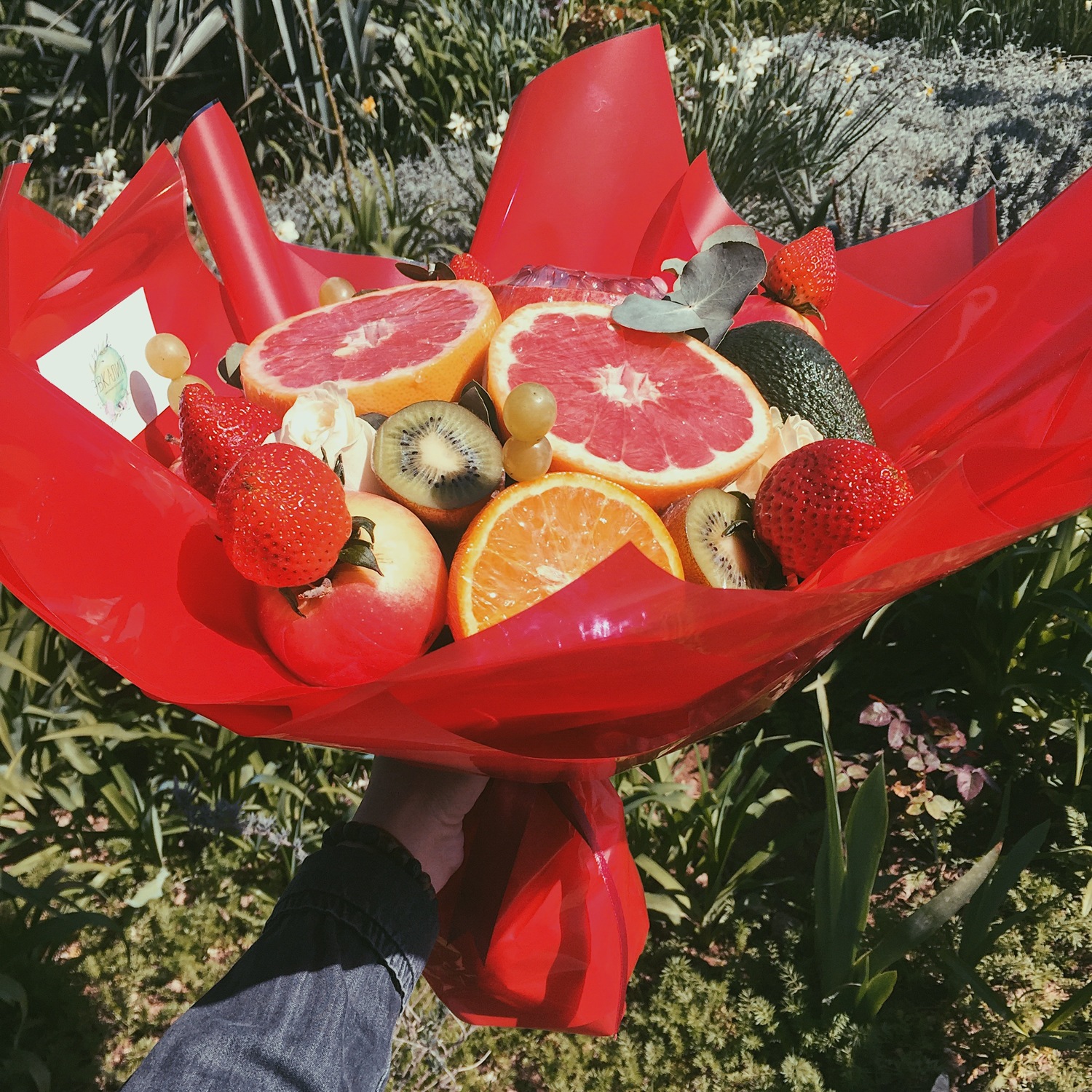 FRUIT №15 FRUIT №15