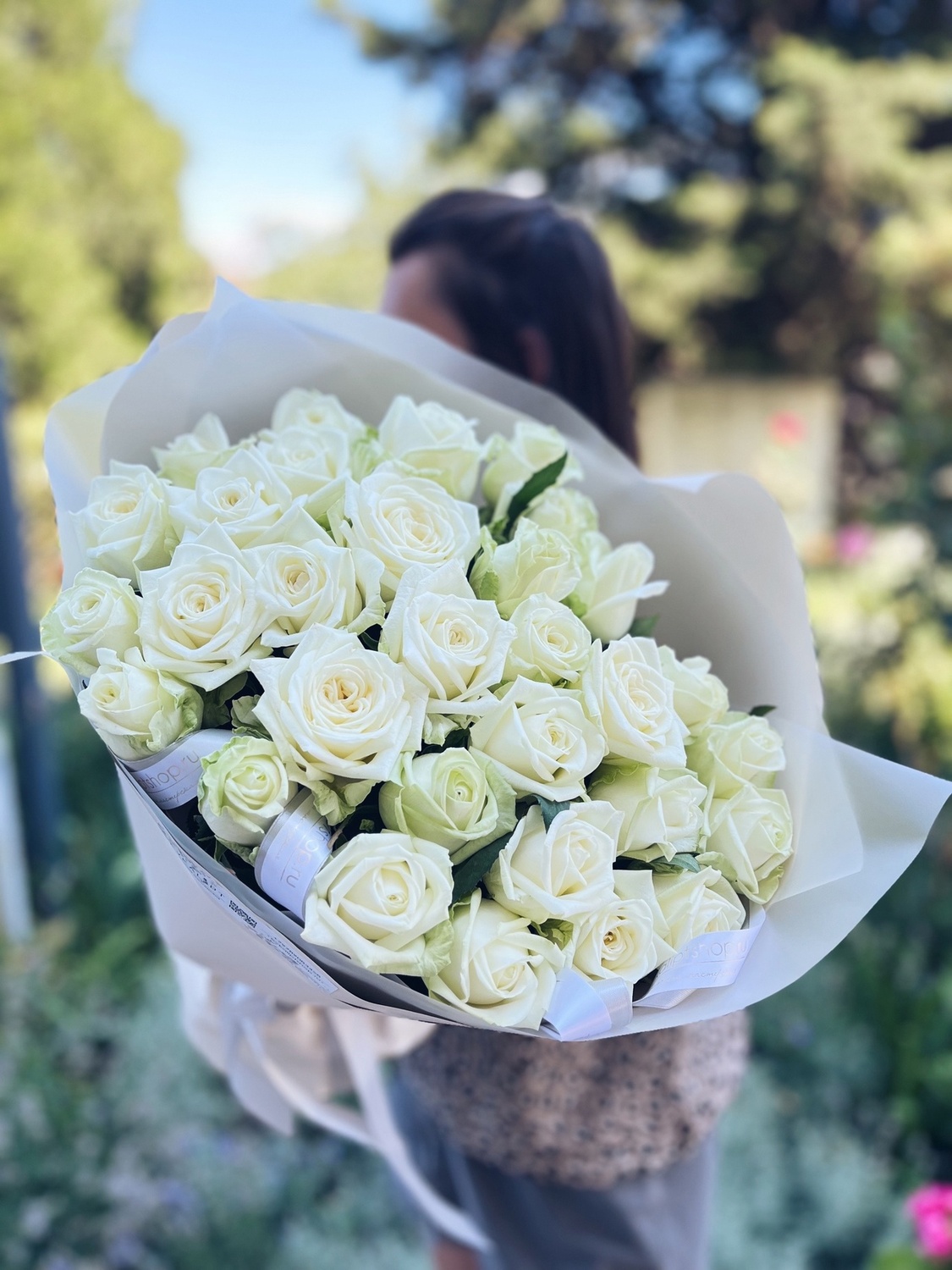 31 РОЗА, WHITE