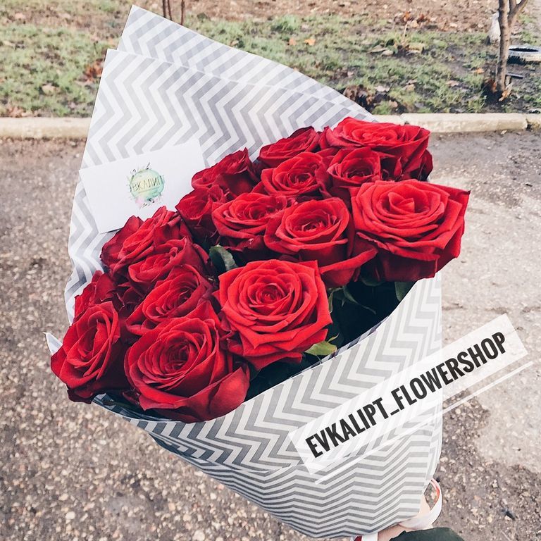 17 РОЗ, RED 17 РОЗ, RED