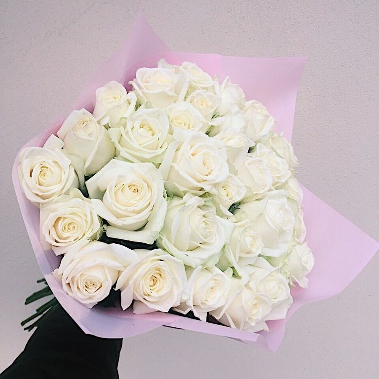 31 РОЗА, WHITE 31 РОЗА, WHITE
